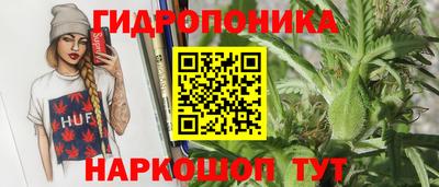 круглые Новодвинск