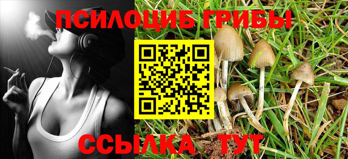 Галлюциногенные грибы MAGIC MUSHROOMS Торжок