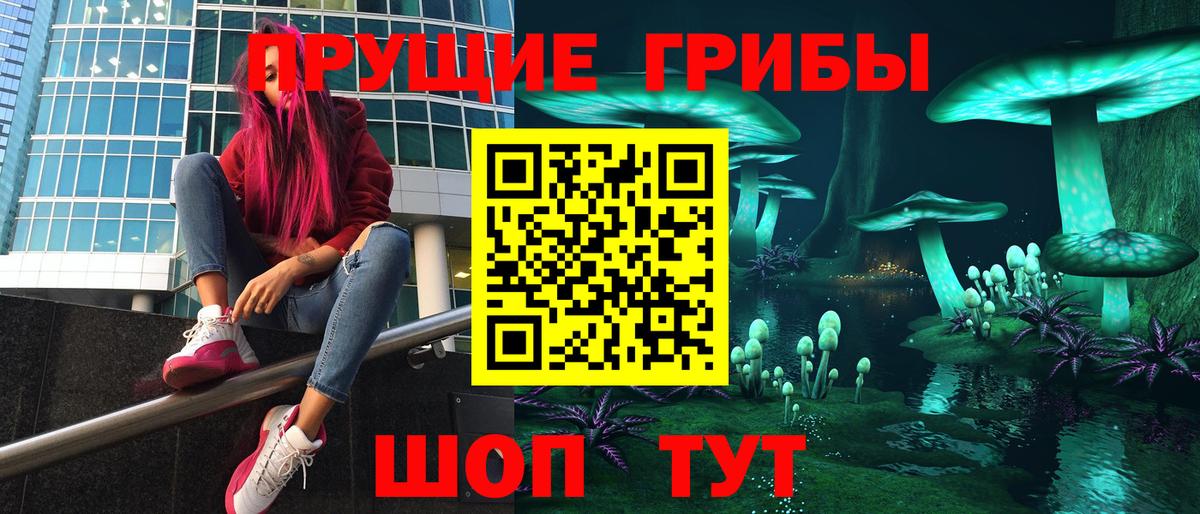 Торжок  Псилоцибиновые грибы Psilocybe  Вход с VPN 